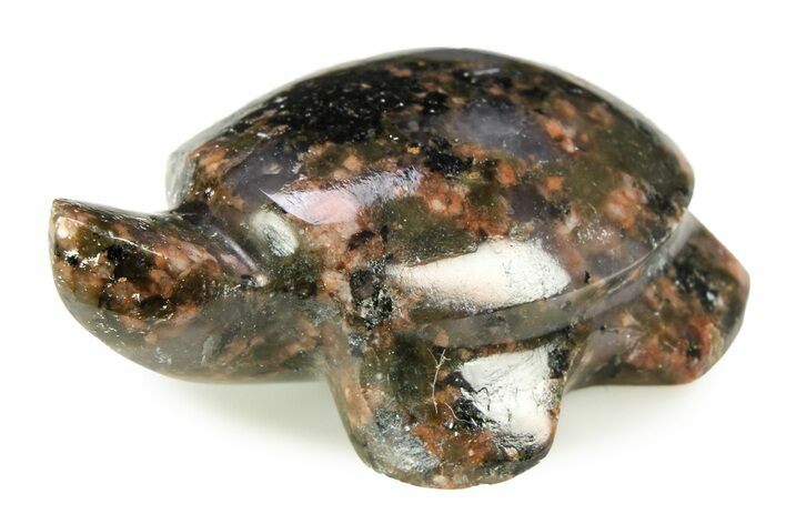 Carved Blue Dot Granite Turtle - Australia #308551